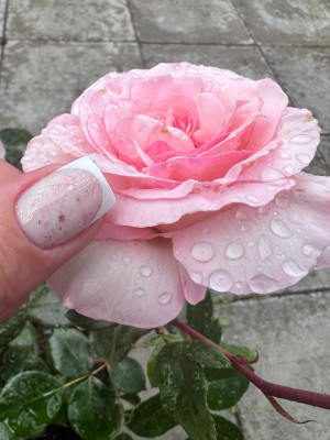 LUXE base ESTRADA 01 (tpo free)