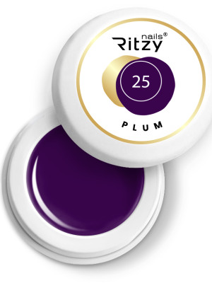 Gel Paint PLUM 25