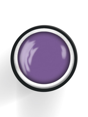 TEXTURE Gel Paste Wild Orchid 