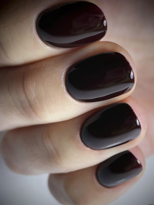 Ritzy Lac MERLOT 85 (tpo free)